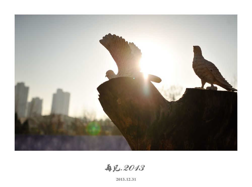 Photo 495507