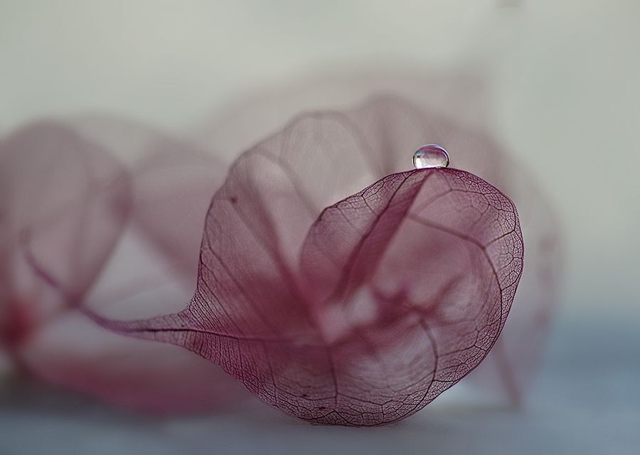 Ожидание