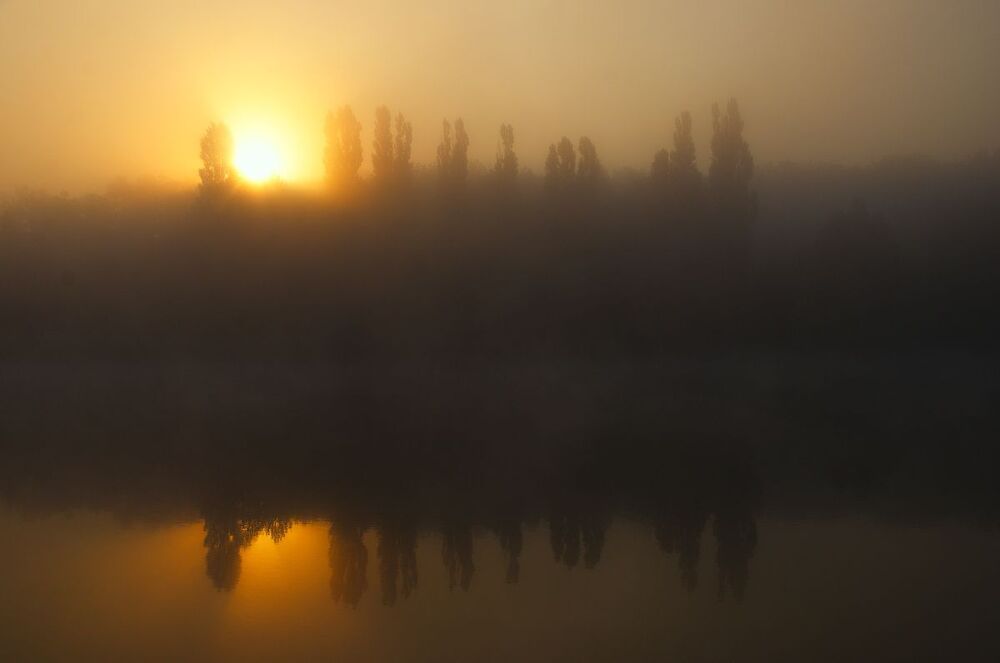 В тумане