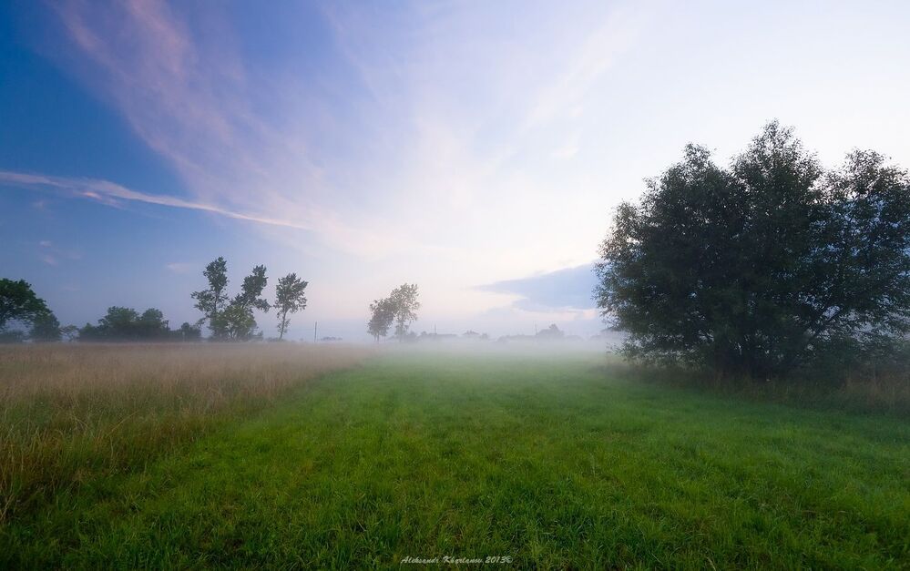 Photo 497135
