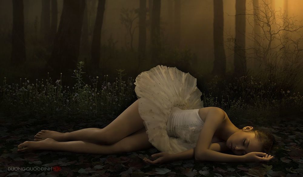 Death swan