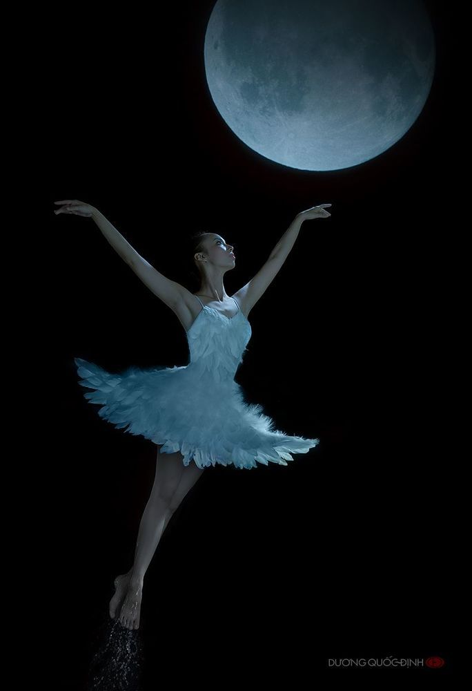 Death swan