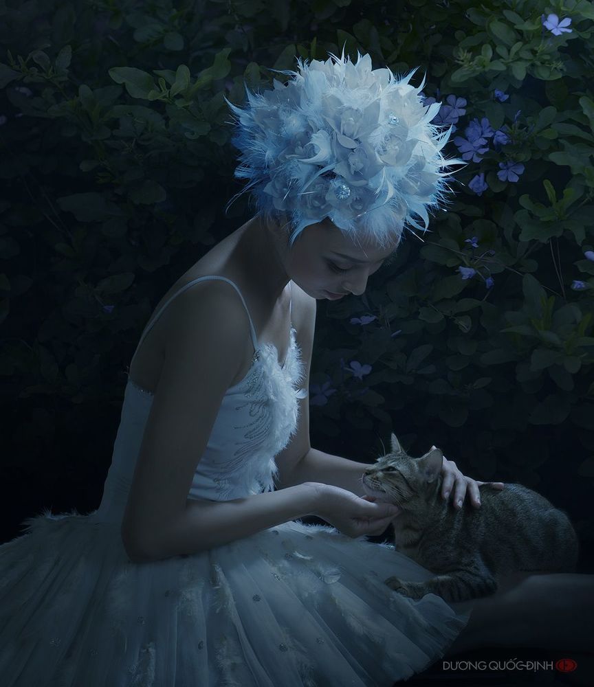 Death swan