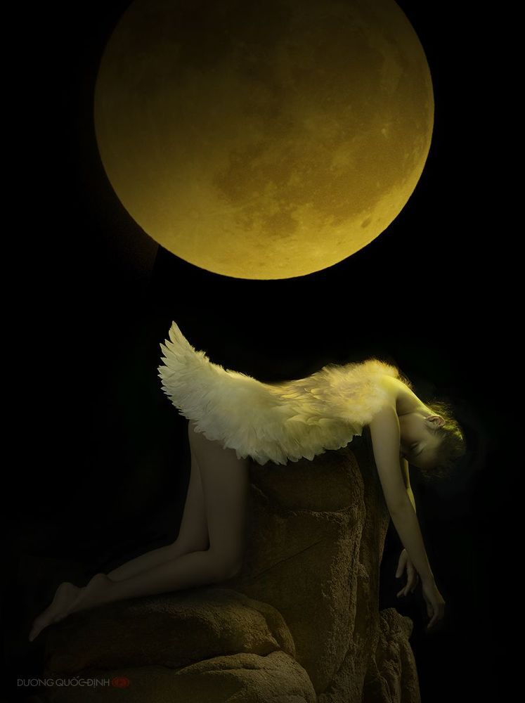 Death swan