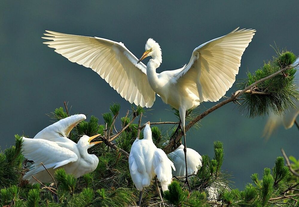 Mother's love and  the love of  the couple