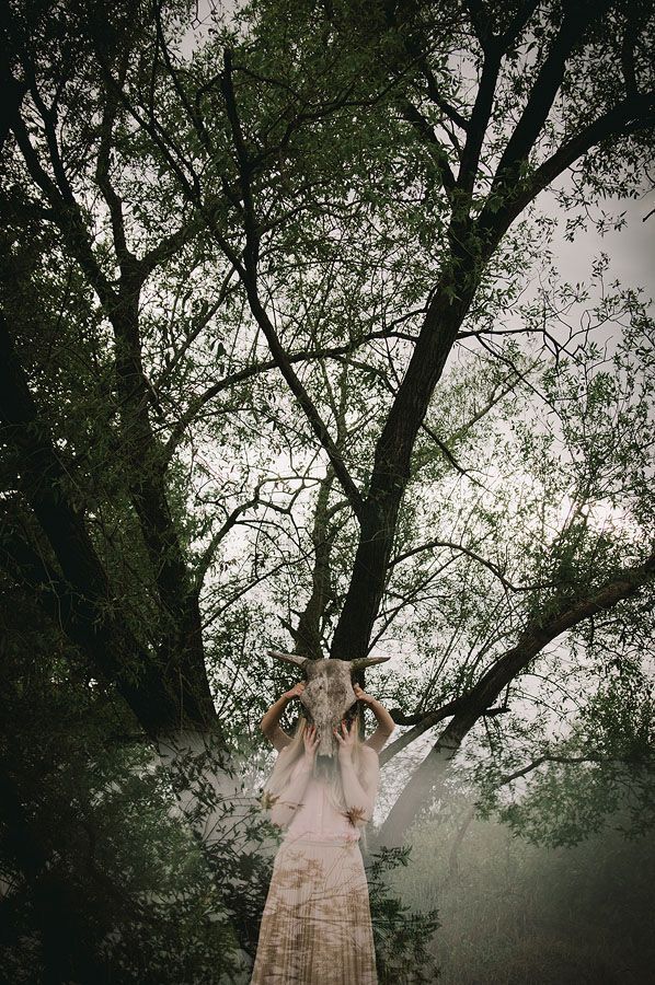Spirit