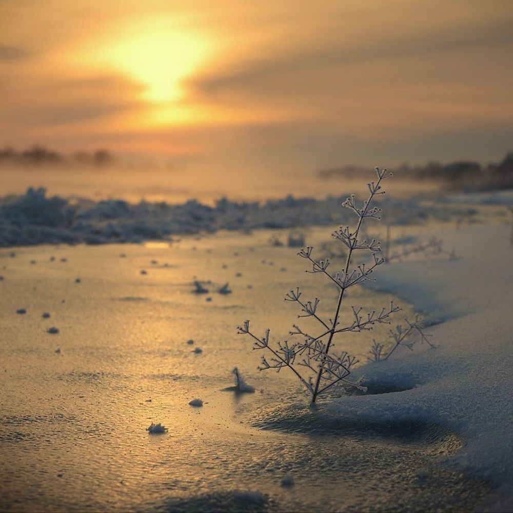 Крещенское утро