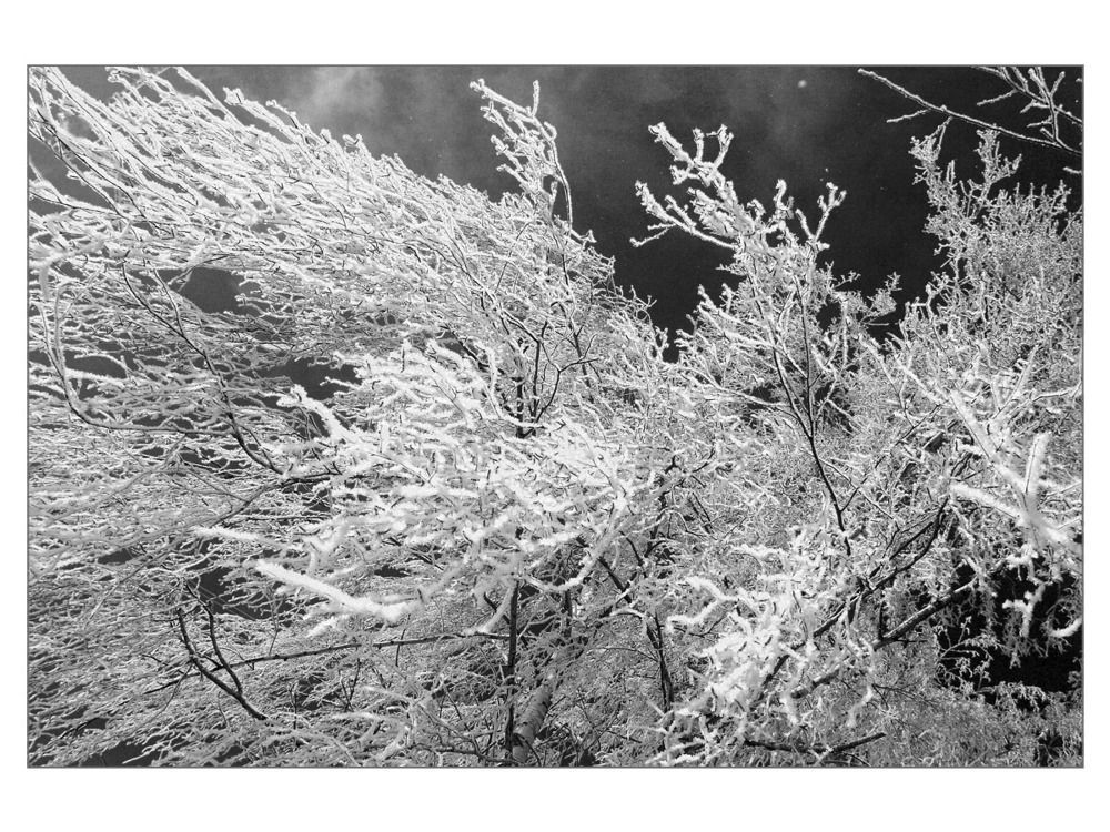---= winter about =---