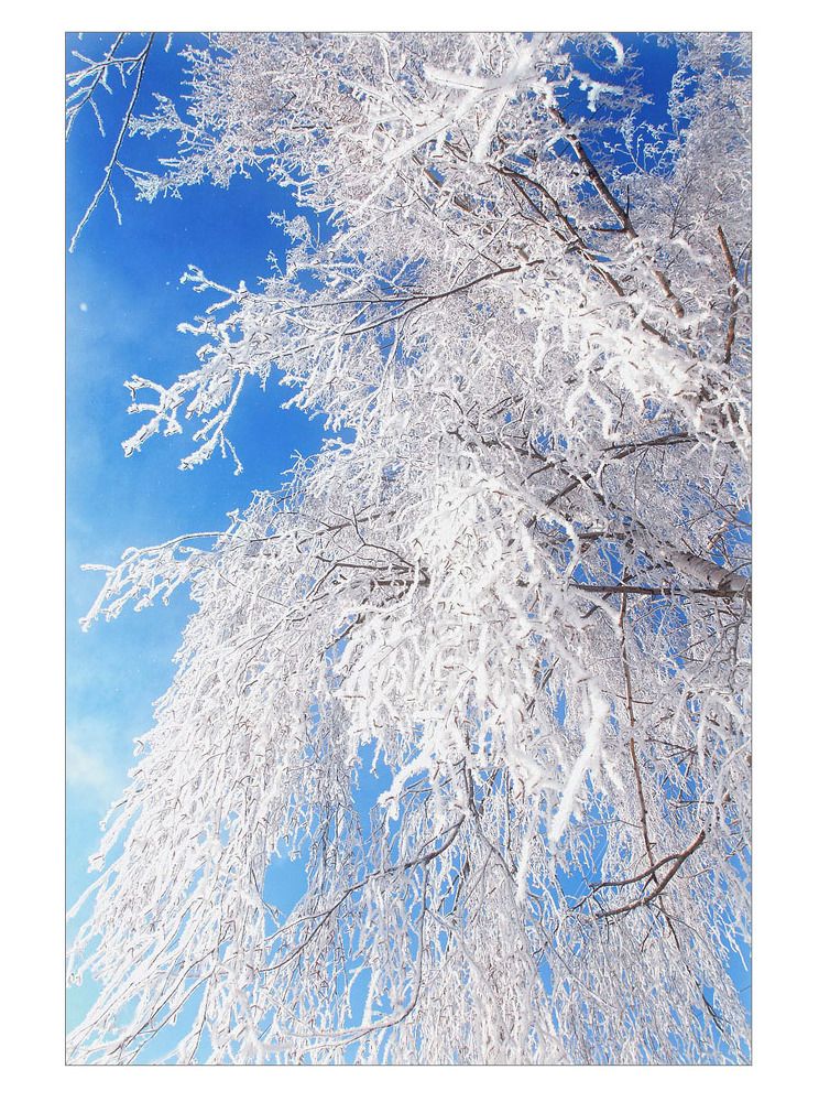 ---= winter about =---