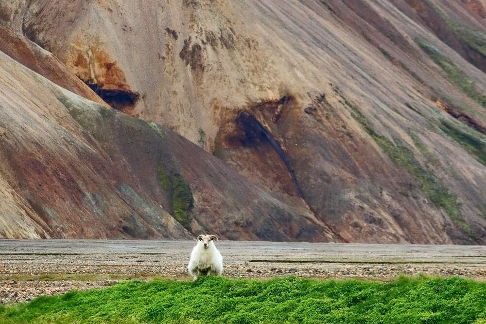 Долина риолитовых гор Ландманналаугар (Landmannalaugar).