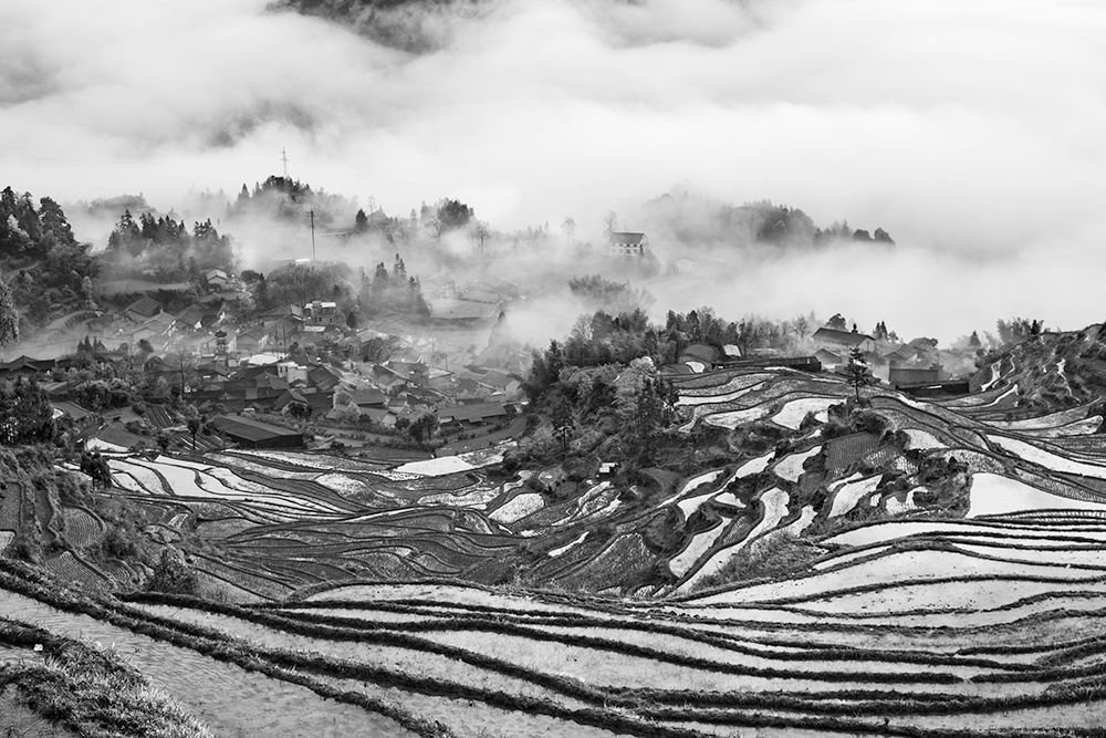 Photo 499718