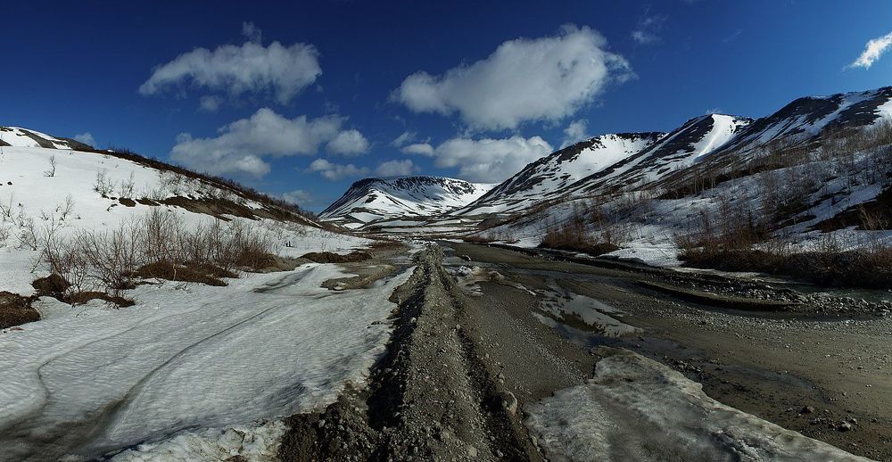 кульпор