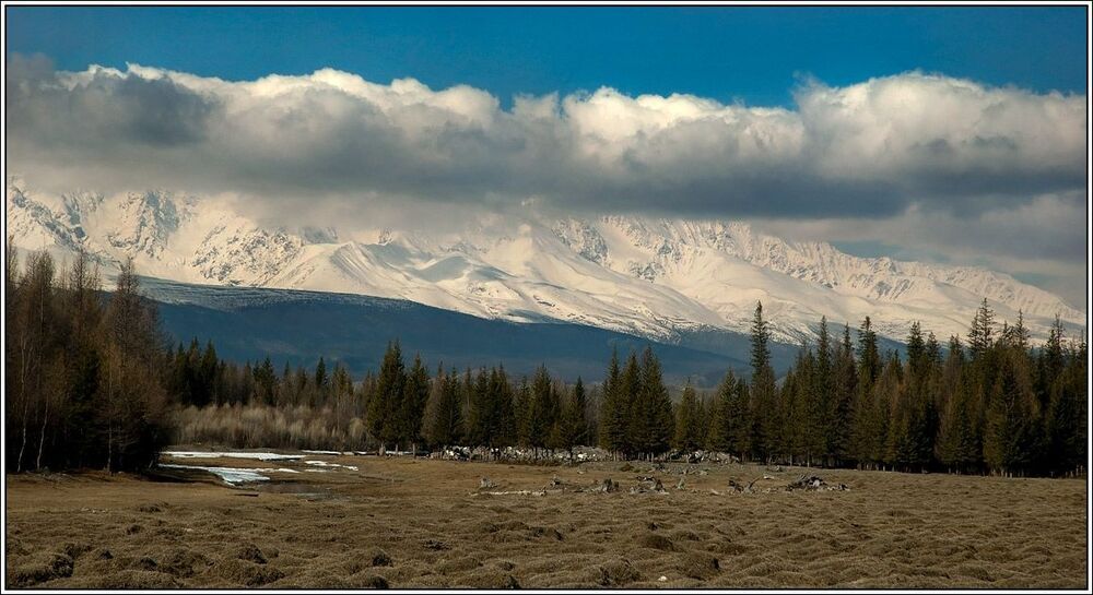 Курайская степь