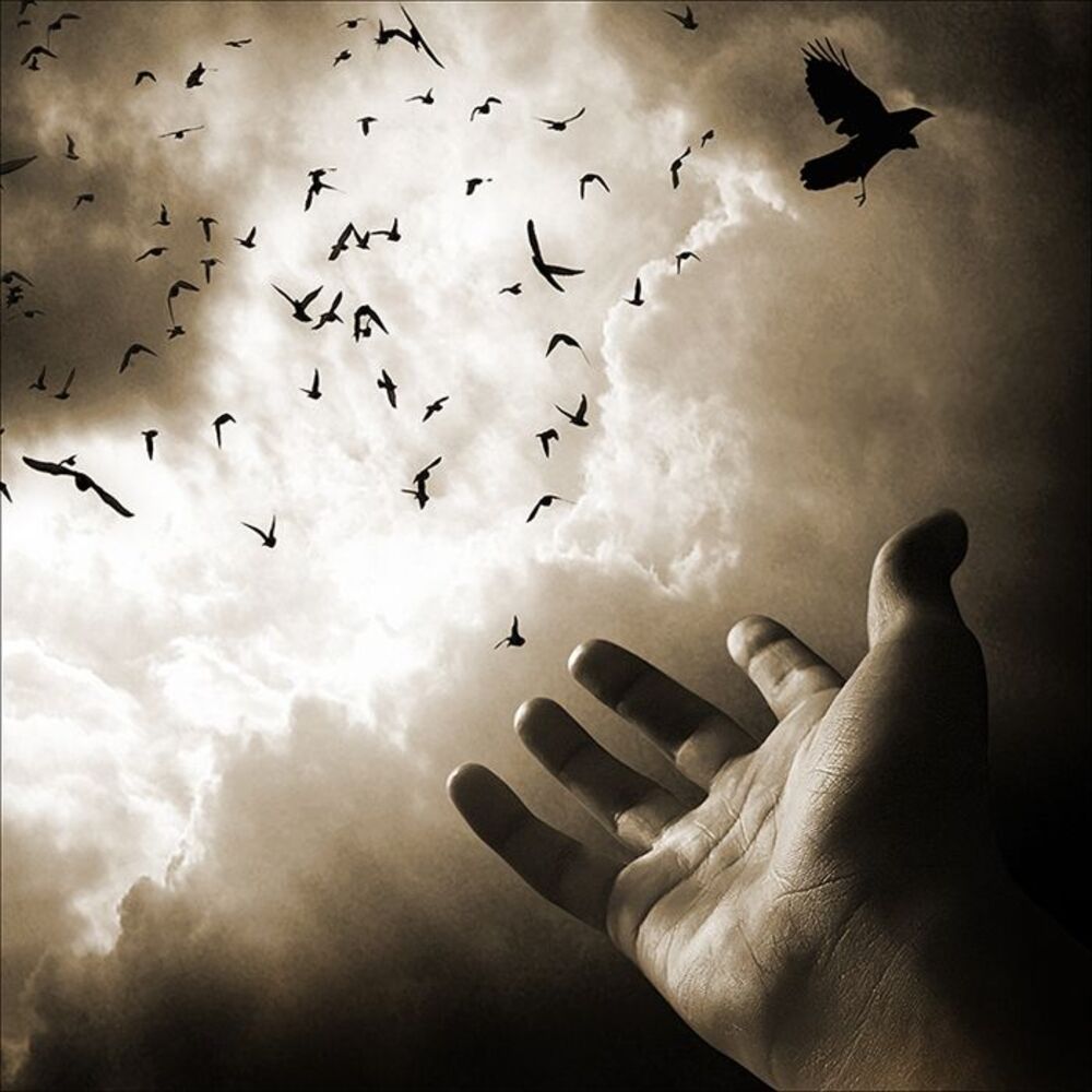 Flying away