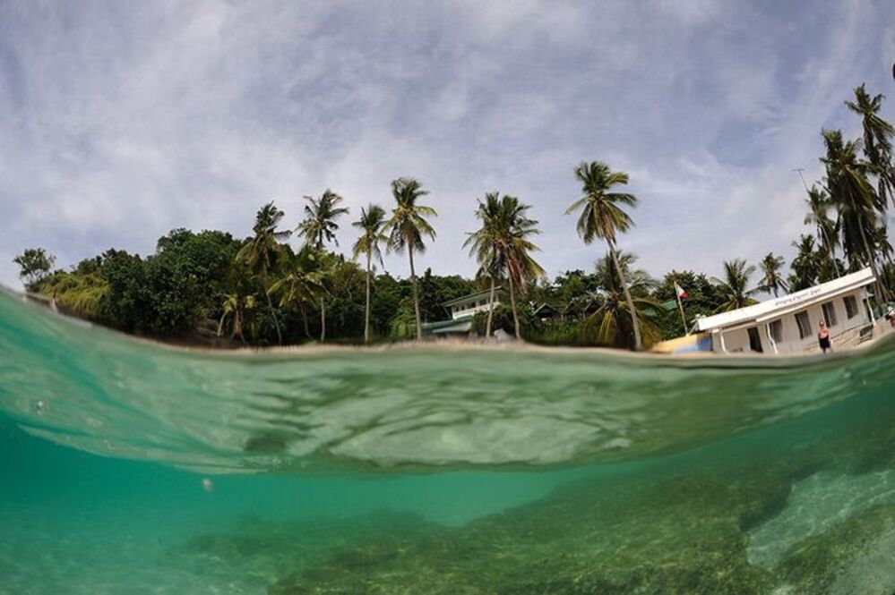Apo Island, Above&Below