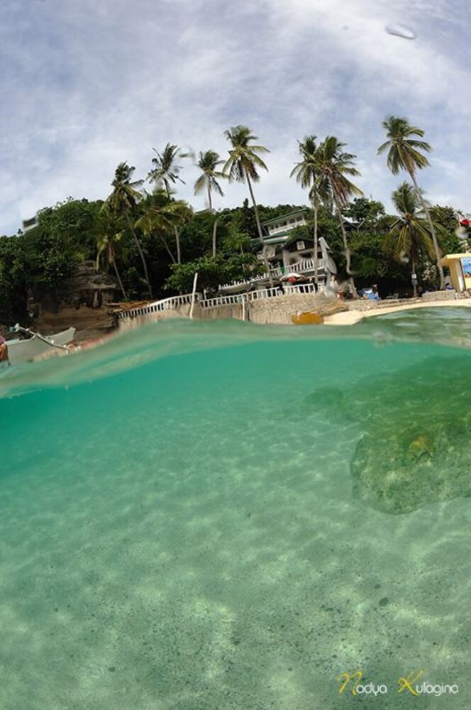 Apo Island, Above&Below