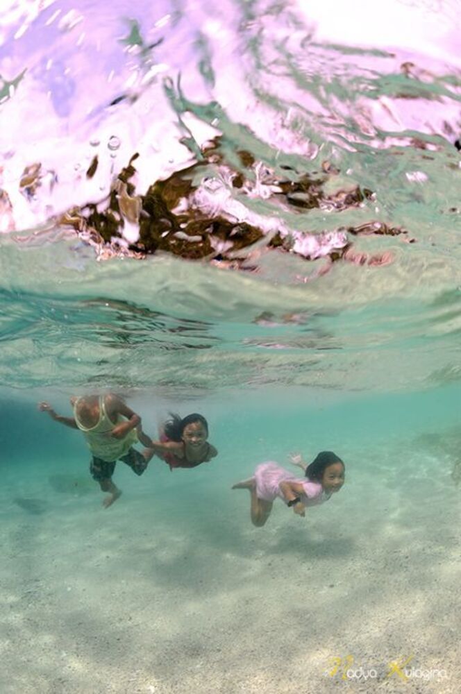 Apo Island, Above&Below