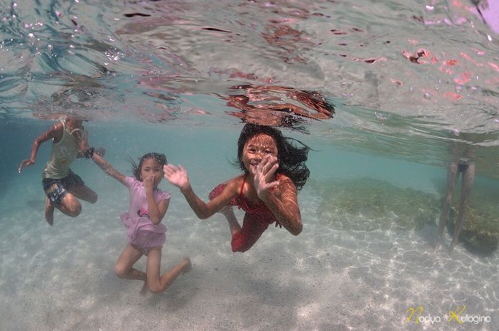 Apo Island, Above&Below
