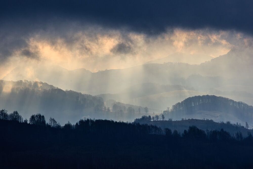 fog mistery