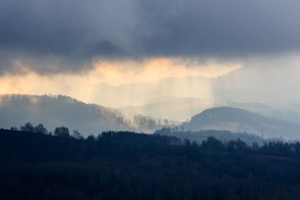 fog mistery