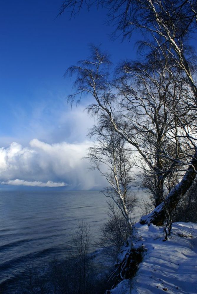 и снова Зима. Дерево.Море. Облака