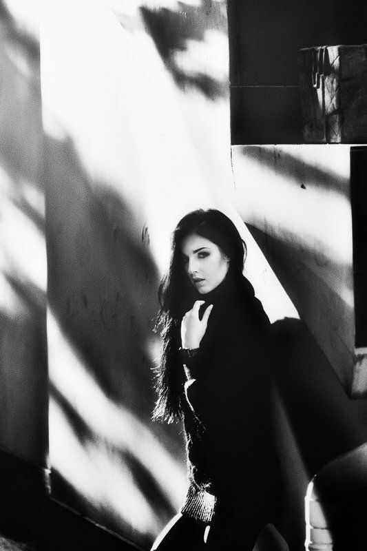 Photo 500529