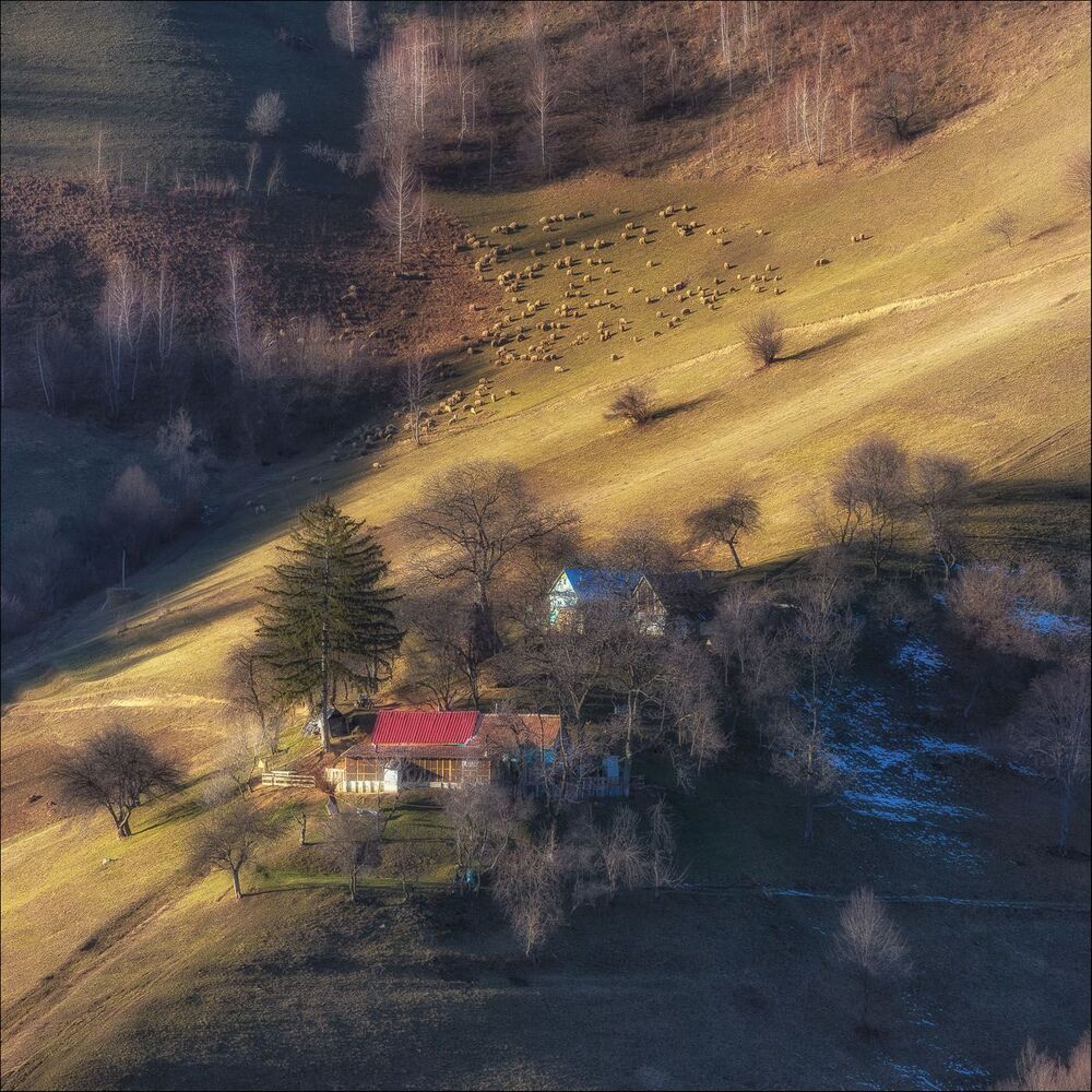 Strange winter