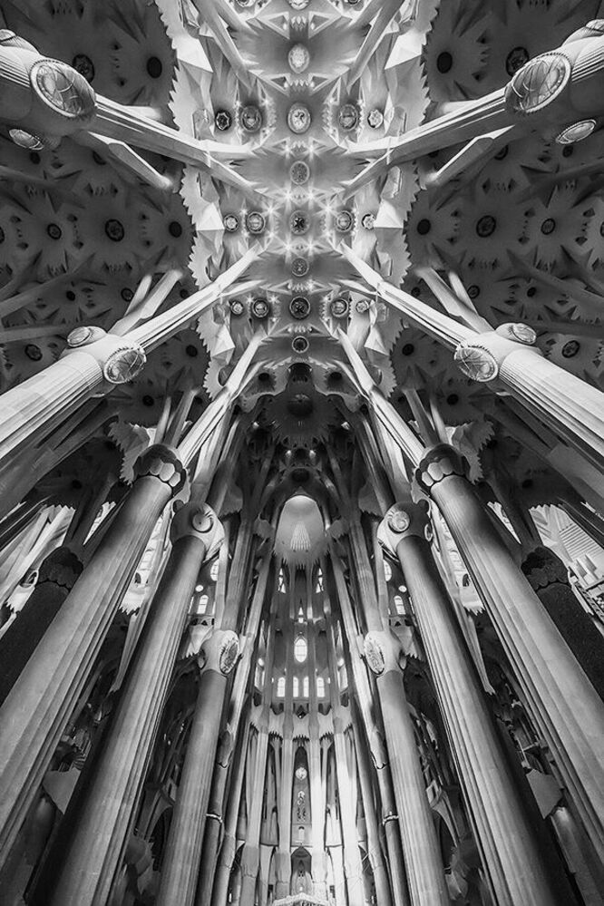 Antonio Gaudi's Universe