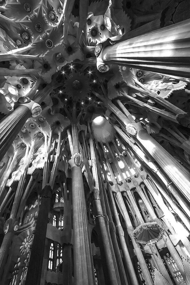 Antonio Gaudi's Universe