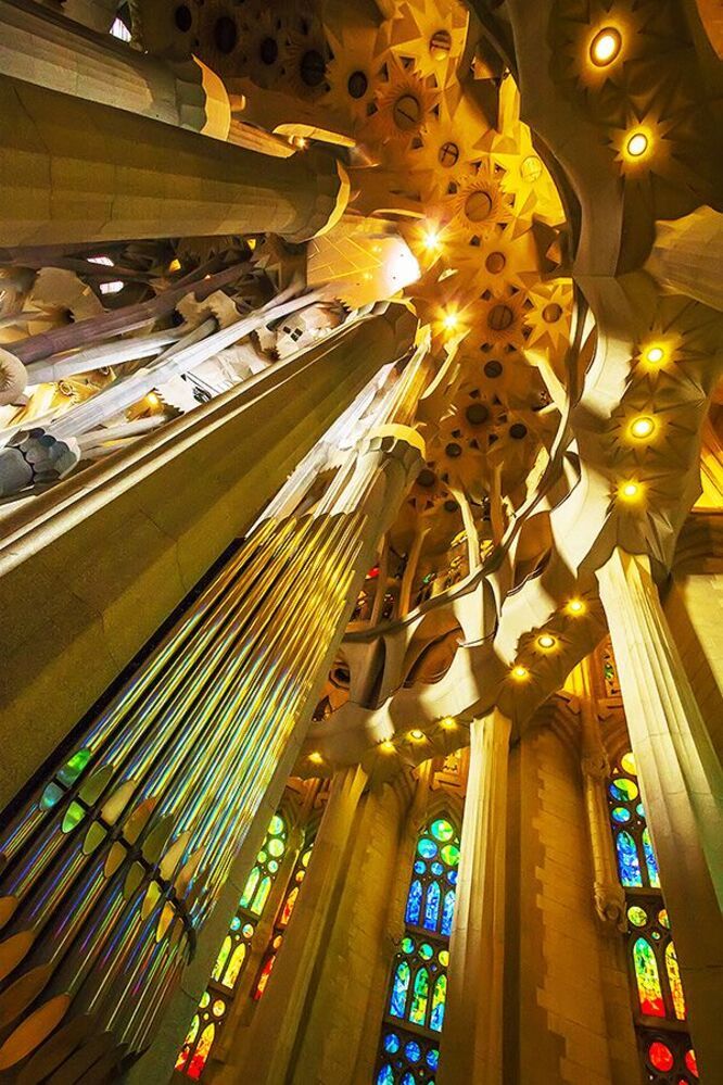 Antonio Gaudi's Universe