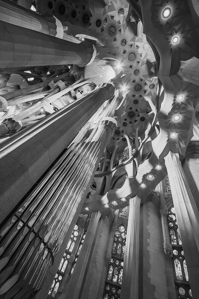 Antonio Gaudi's Universe