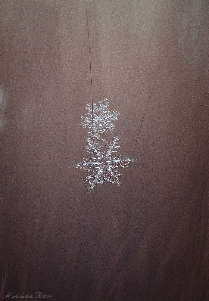 Photo 501548