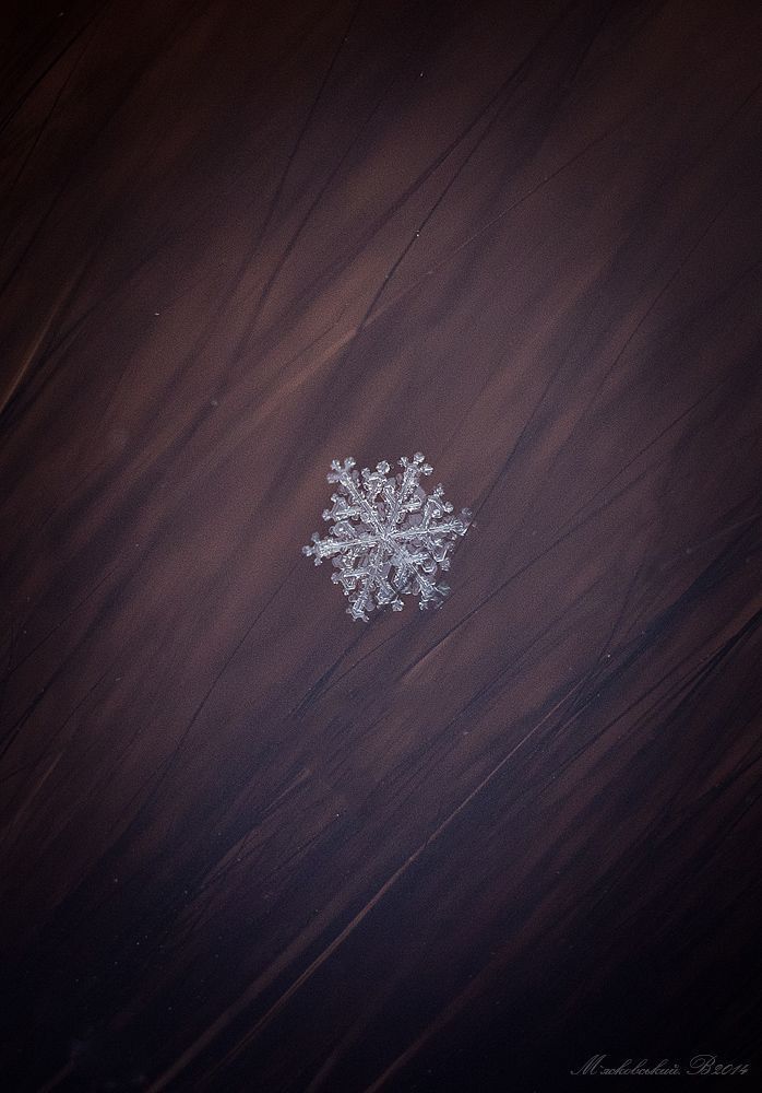 Photo 501549