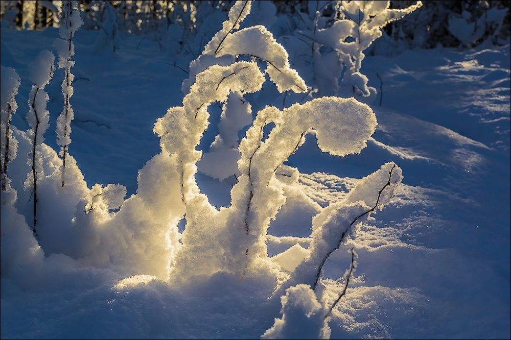 Лучик солнца в зимнем царстве)