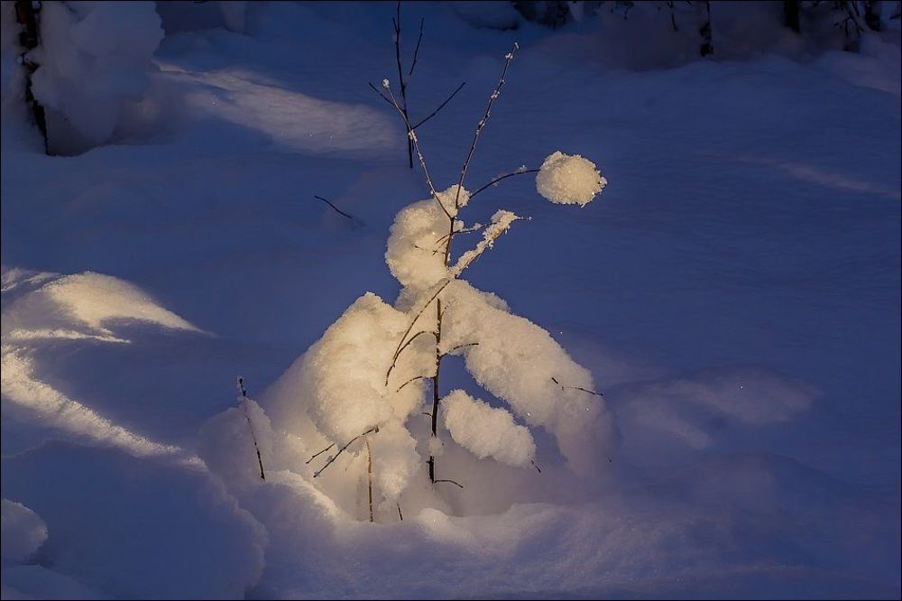 Лучик солнца в зимнем царстве)