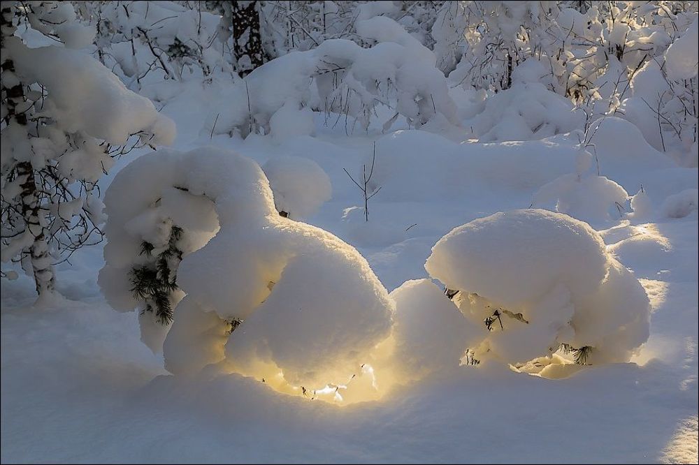 Лучик солнца в зимнем царстве)