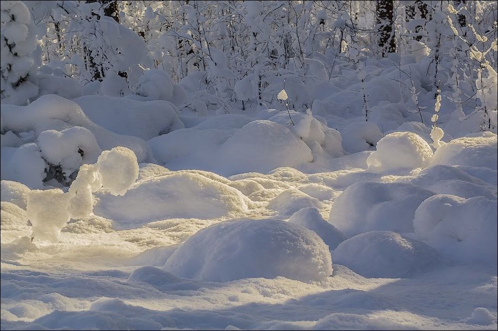 Лучик солнца в зимнем царстве)