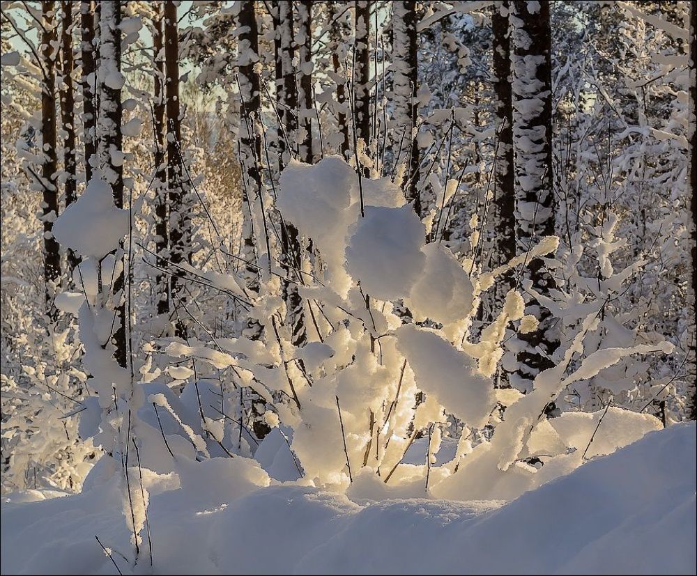 Лучик солнца в зимнем царстве)
