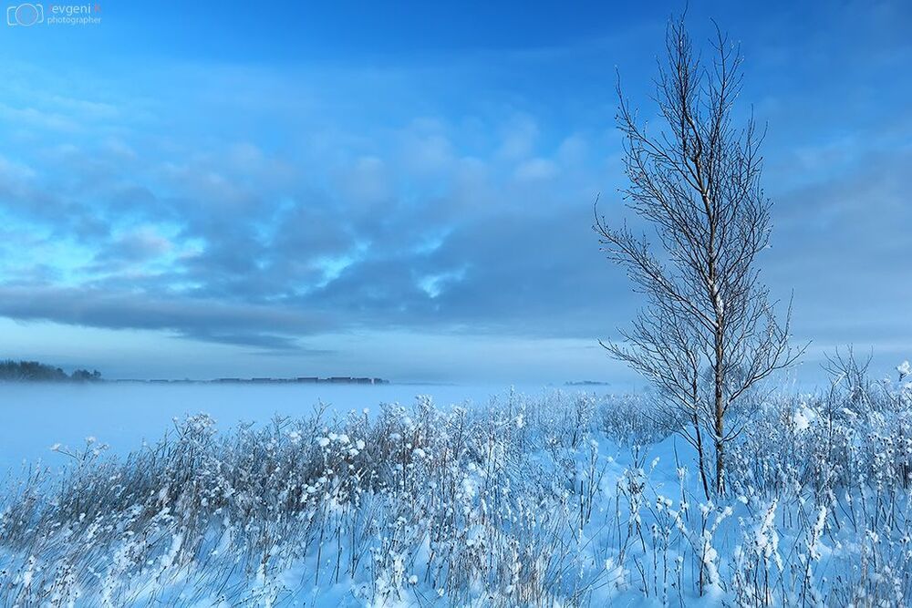 Туманно Морозный зимний день