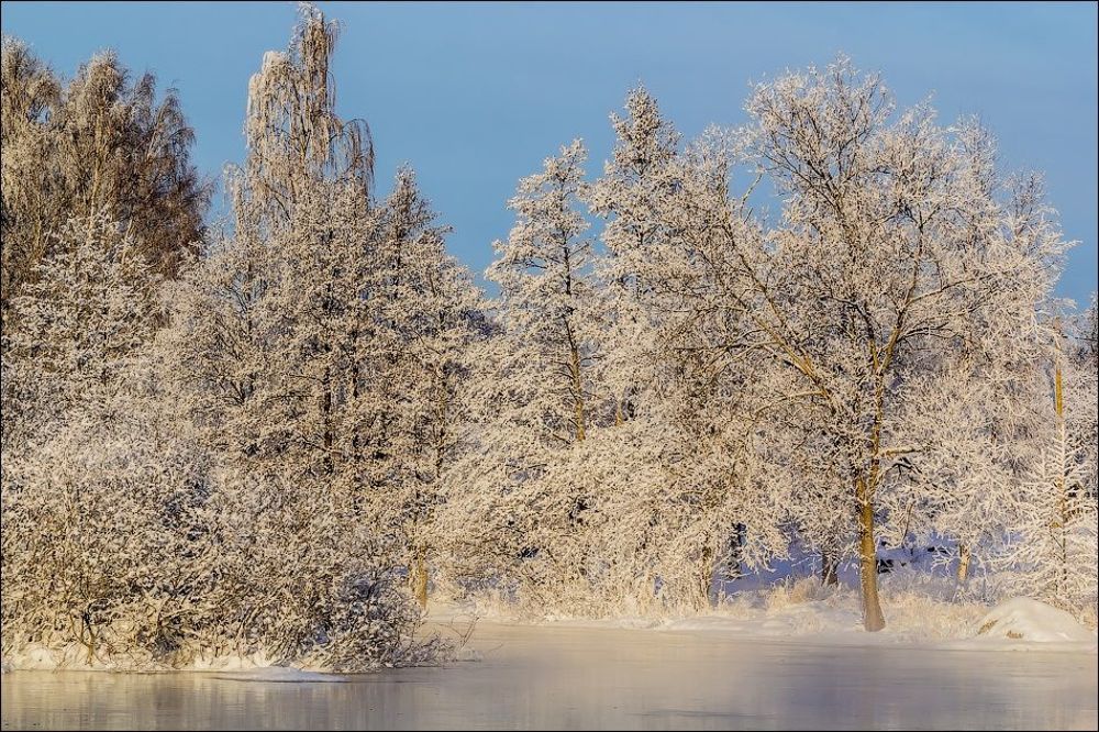 Лебединая река)