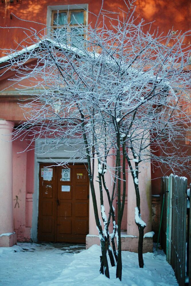 Старый красный дом