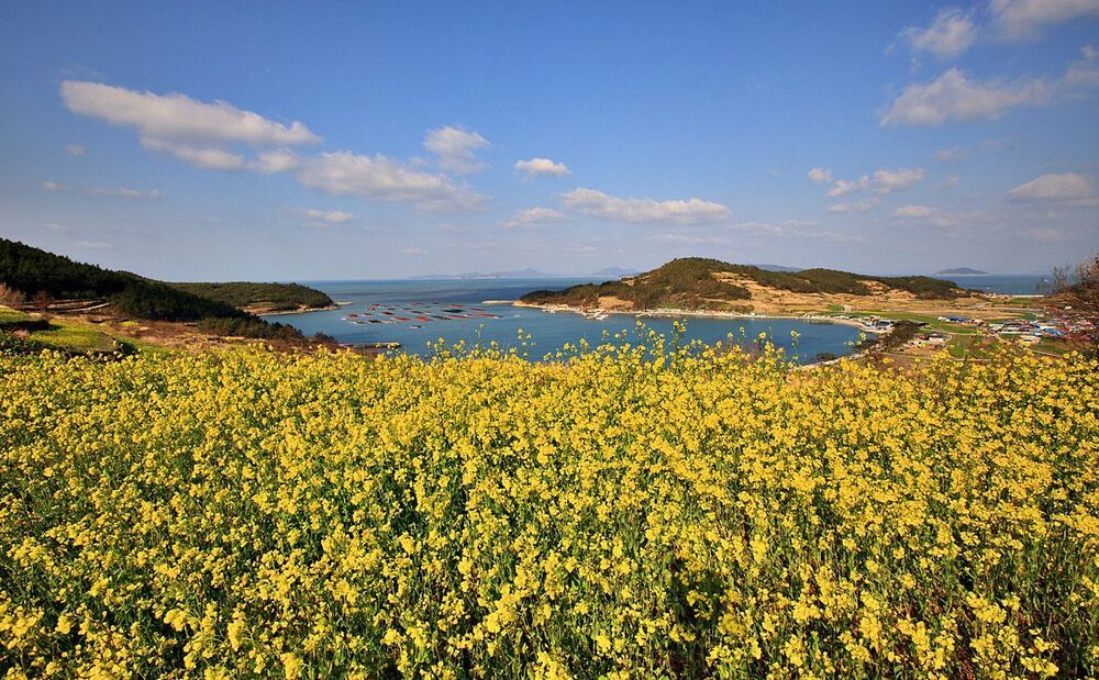 Beautiful Island
