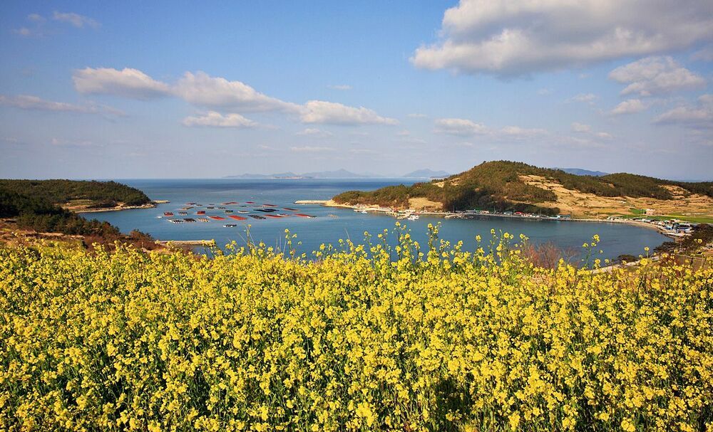 Beautiful Island