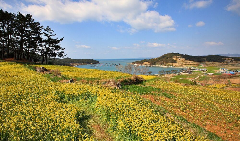 Beautiful Island