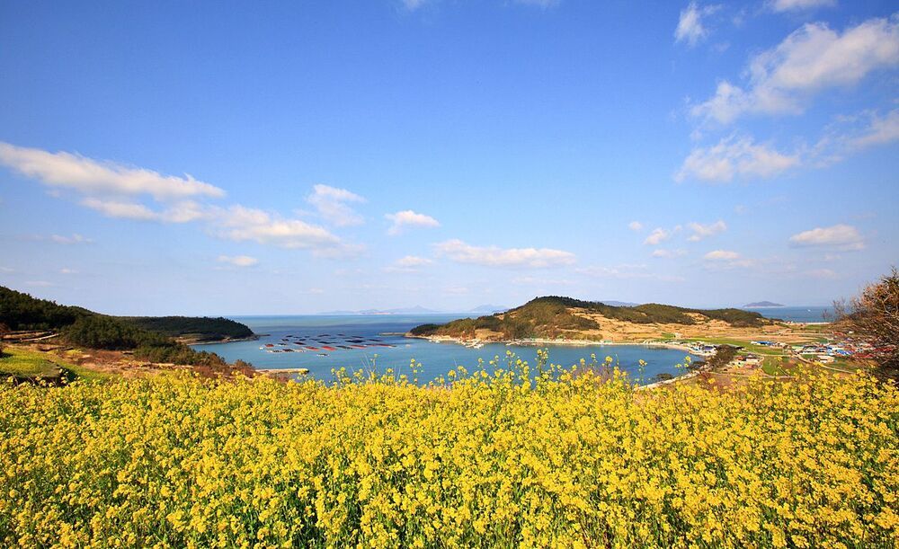 Beautiful Island