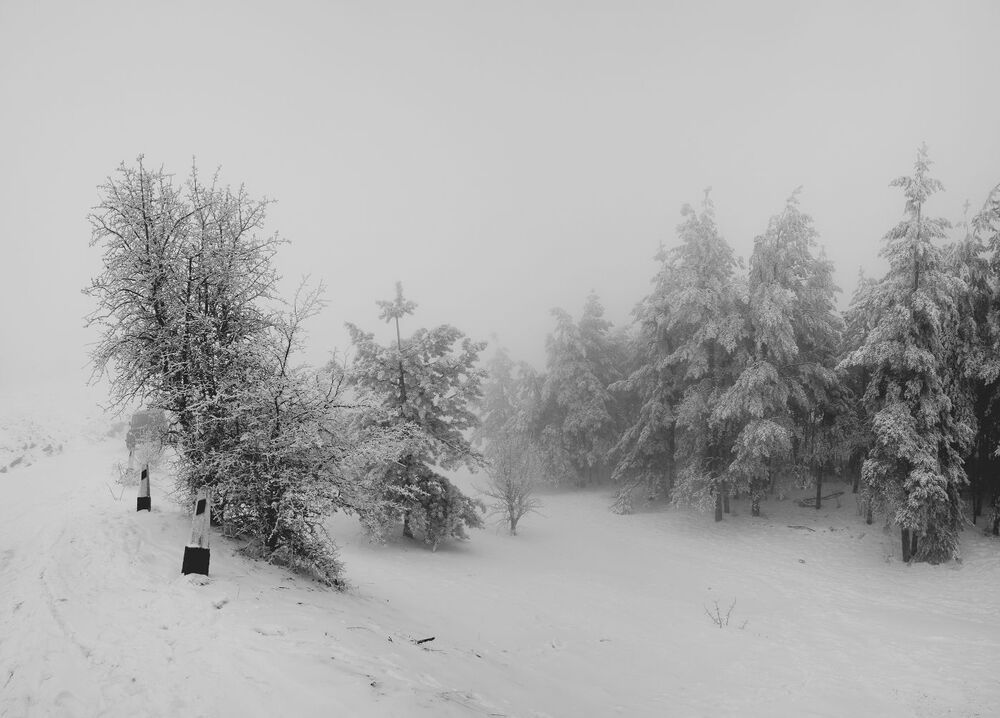 Белое безмолвие