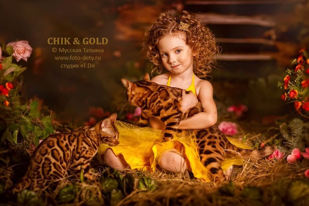 Дикая природа
