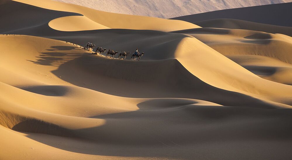 THE LONG AND  WINDING ROAD