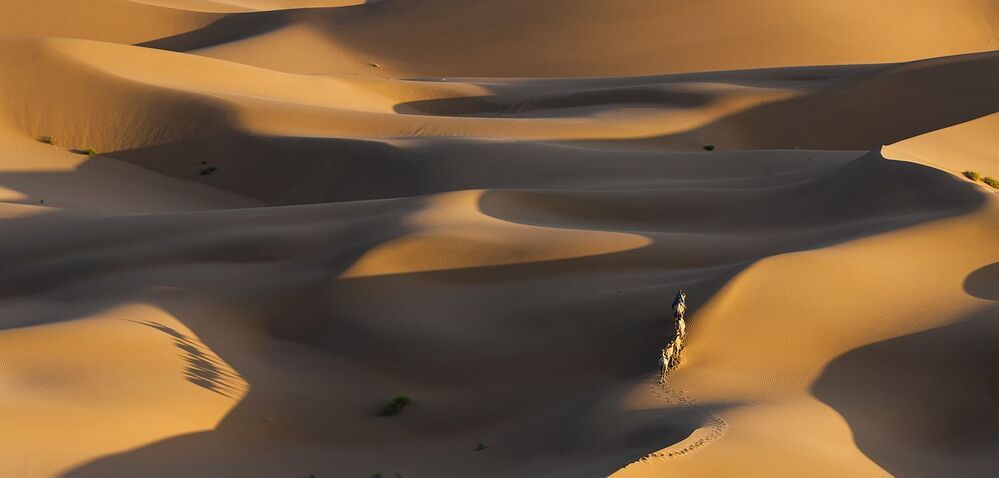 THE LONG AND  WINDING ROAD