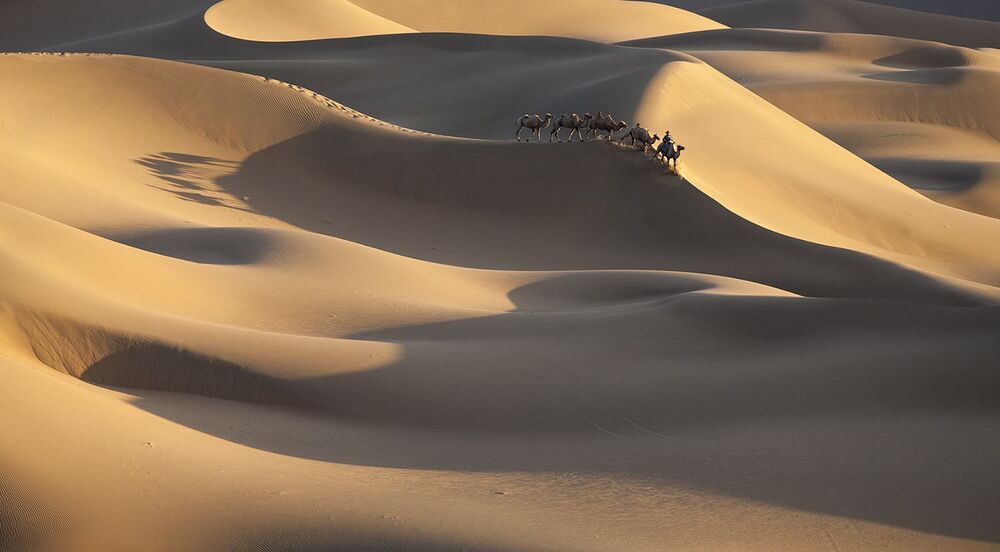 THE LONG AND  WINDING ROAD
